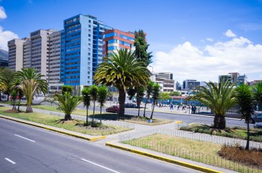 Modern avenue Quito Ekvator