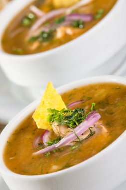 Amerika Birleşik Devletleri üzerinden lezzetli encebollado balık güveç