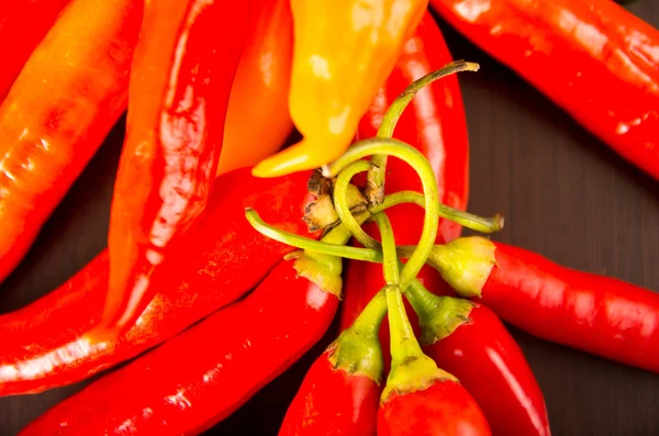 Peperoncino piccante rosso fresco aji chile — Foto Stock