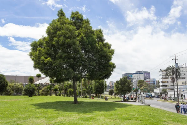 El Arbolito park Quito Ekvádor Jižní Ameriky — Stock fotografie