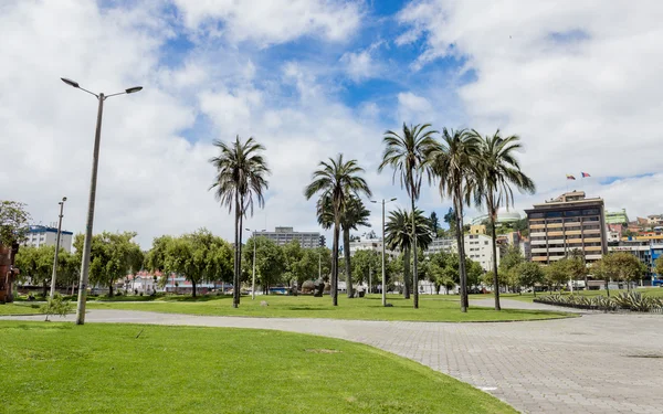 Parc El Arbolito Quito Équateur Amérique du Sud — Photo