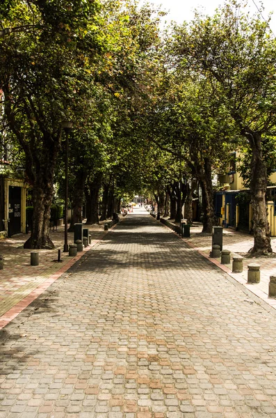 Pitoresk sokak Quito Ekvador Güney Amerika içinde — Stok fotoğraf
