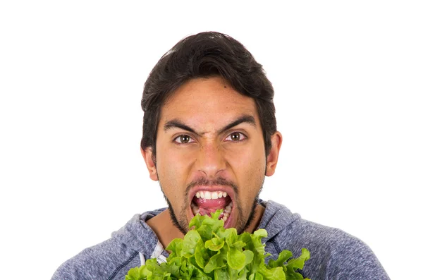Closeup portrait of handsome young man holding fresh lettuce leaves with mouth open — Stock Photo, Image