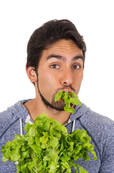 Closeup portrait of handsome young man chewing fresh lettuce leaves — Stock Photo, Image