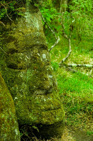 Grande roccia scultura floreana isola galapagos — Foto Stock