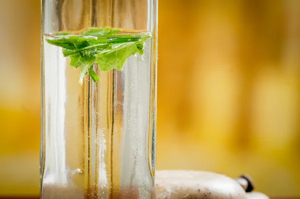 Botella de vidrio con hojas y jabones en el concepto de spa de fondo —  Fotos de Stock