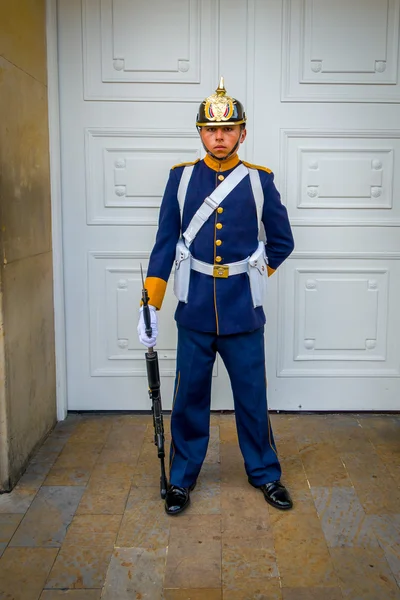 Soldato di guardia presidenziale alla Casa di Narino, Bogotà Colombia — Foto Stock