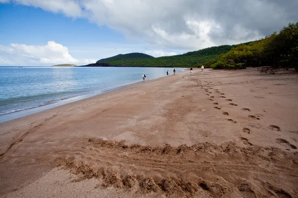 Galapagos Adaları'nda bir Beach güzel manzara — Stok fotoğraf