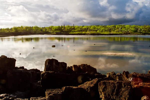 Salado sjö i Santa Cruz, Galapagosöarna — Stockfoto