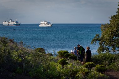 Tourists overlooking cruise ships from an island, Galapagos clipart