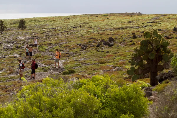 Turistas no identificados trekking en una isla en Galápagos, Ecuador —  Fotos de Stock