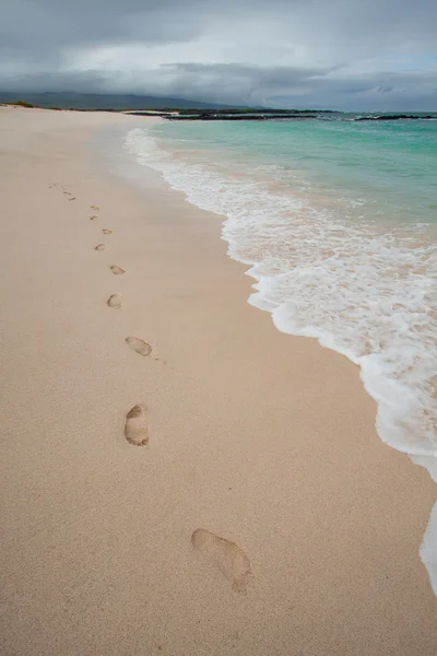 Fußabdrücke entlang der schönen Küste, Galapagos — Stockfoto