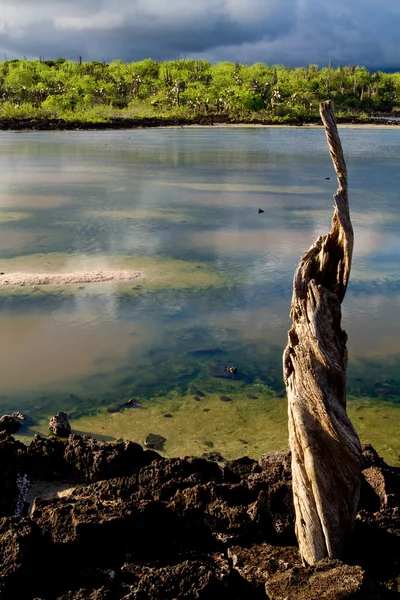 Kaunis värikäs maisema laguunin ympärillä, Galapagossaaret — kuvapankkivalokuva