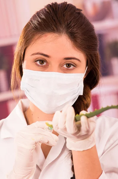 Jonge vrouwelijke bioloog experimenteren met blad — Stockfoto