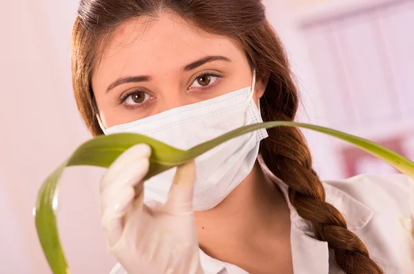 Jovem biólogo do sexo feminino experimentando com folha — Fotografia de Stock