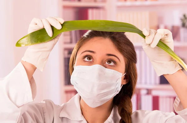 Young female biologist experimenting with leaf — Stock Photo, Image