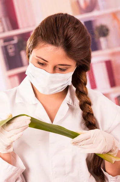 Young female biologist experimenting with leaf — Stock Photo, Image