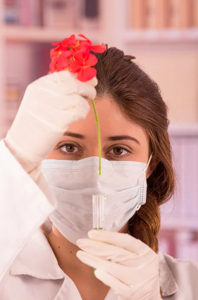 Молода жінка-біолог експериментує з червоною квіткою — стокове фото