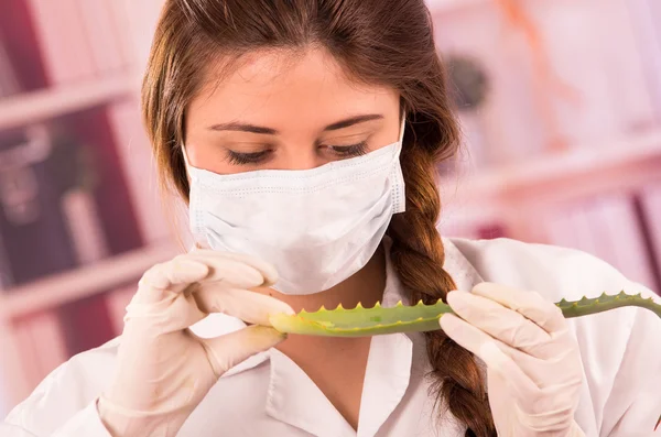 Genç kadın biyolog yaprak ile deneme — Stok fotoğraf