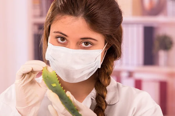 Young female biologist experimenting with leaf — Stock Photo, Image