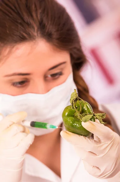 Jovem mulher bonita biólogo experimentando com pimenta verde — Fotografia de Stock