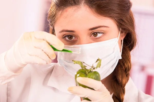 Jovem mulher bonita biólogo experimentando com pimenta verde — Fotografia de Stock