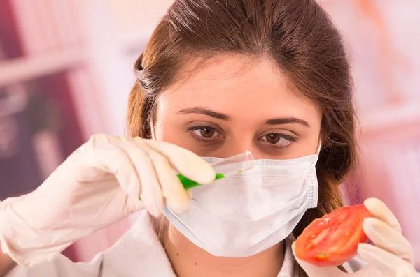 Junge schöne Biologin experimentiert mit Tomate — Stockfoto