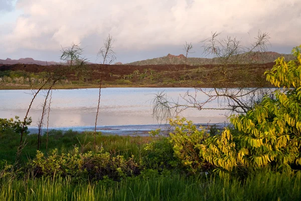 Piękny krajobraz spokojnej espanola wyspa w galapagos — Zdjęcie stockowe