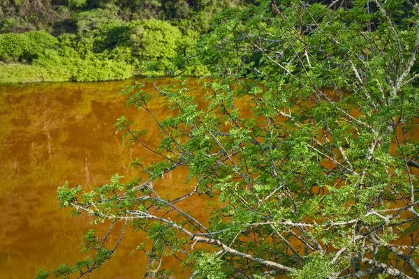 Bela paisagem de lagoa de sal nas Ilhas Galápagos — Fotografia de Stock