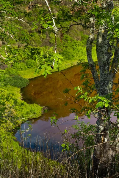 Hermoso paisaje de laguna salina en las Islas Galápagos — Foto de Stock