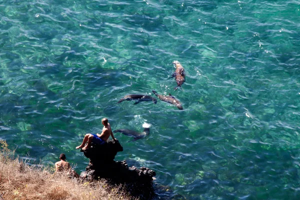 Turistas no identificados disfrutando del océano con aguas cristalinas y lobos marinos nadando en San Cristóbal, Islas Galápagos — Foto de Stock