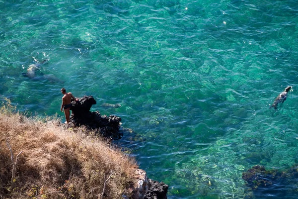 Turistas não identificados desfrutando do oceano com água cristalina e leões-marinhos nadadores em San Cristobal, Ilhas Galápagos — Fotografia de Stock