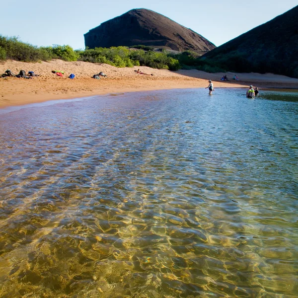 Oidentifierade turister njuter en vacker strand med kristallklart vatten på Galapagosöarna — Stockfoto