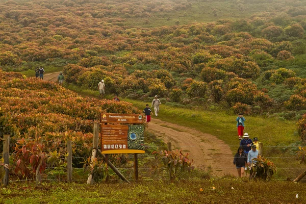 Grupo de turistas no identificados haciendo senderismo por la Isla de San Cristóbal en Galápagos — Foto de Stock