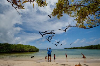 Kimliği belirsiz turist Playa de Los Alemanes, Alman beach, Galapagos Adaları deniz kuşları izlerken zevk