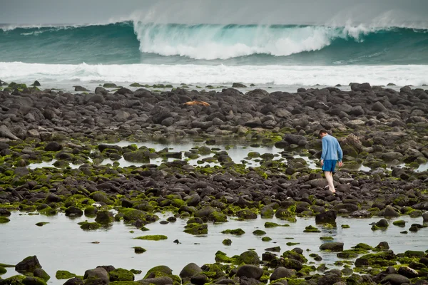 Niet-geïdentificeerde toeristische wandelen langs de rotsachtige kustlijn in een schilderachtige strand van San Cristobal eiland, Galapagos — Stockfoto