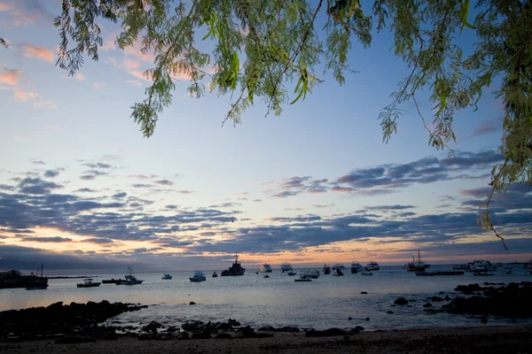 Gyönyörű coastland táj során naplemente, Galapagos sziget San Cristobal port — Stock Fotó