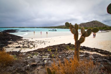 Kimliği belirsiz turistler güzel ıssız Garrapatero plaj Santa Cruz adasında, Galapagos, güneşli bir gün zevk