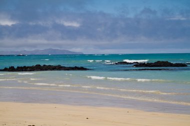 Doğal manzara ve güzel Garrapatero beach, Santa Cruz, Galapagos Adaları'nda turkuaz su