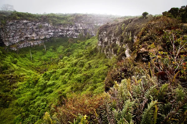 Fantastiska landskap av Twin kratrar, Los Gemelos, mystiska mossiga skog i Santa Cruz island, Galapagos — Stockfoto