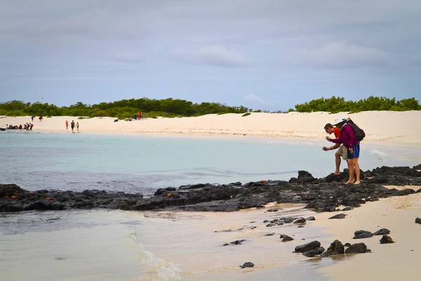 Unidentified tourists taking photos of crabs in beautiful deserted beach, Santa Cruz island, Galapagos — Stock Photo, Image