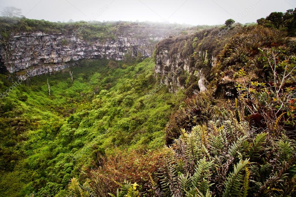 Increíble paisaje de Cráteres Gemelos, Los Gemelos, misterioso bosque