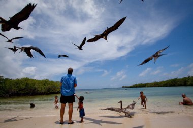 Kimliği belirsiz turist Playa de Los Alemanes, Alman beach, Galapagos Adaları deniz kuşları izlerken zevk