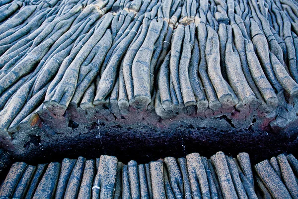 Closeup shot of lava formations in Santiago Island, Galapagos — Stock Photo, Image