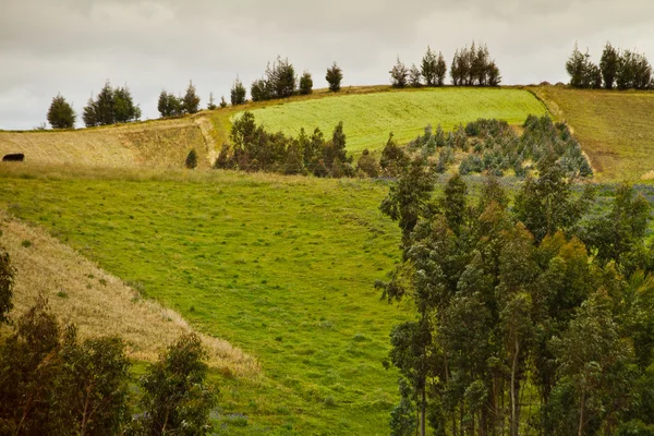 Hermoso paisaje de la naturaleza montañosa ecuatoriana — Foto de Stock