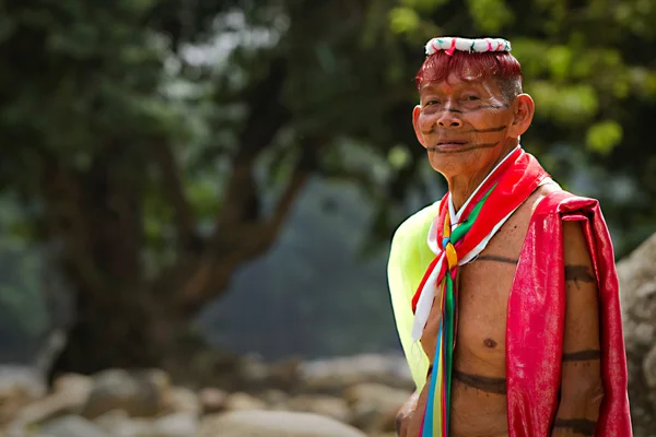 サント ・ ドミンゴ ・ デ ・ ロス Tsachilas、エクアドルの先住民のグループからシャーマン — ストック写真