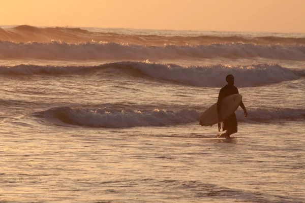 Silhouet van toeristische surfer genieten van de zee tijdens zonsondergang, Manabi, Ecuador — Stockfoto