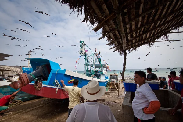 Hektisk morgon med Fregatten fåglar lockas av fisken i Machalilla — Stockfoto