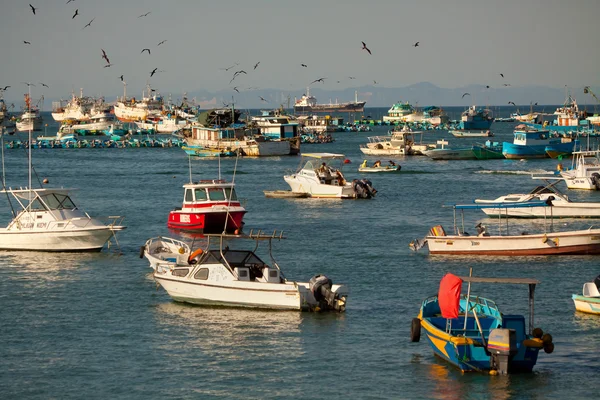 Vista mar com barcos ancorados na costa de Manta, Equador — Fotografia de Stock