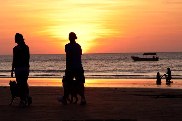 Neidentifikovaný pár procházky se svými psy během nádherný západ slunce v Manta beach — Stock fotografie